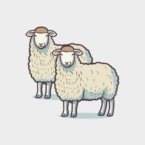 Domba 2 Ekor